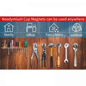 Neodymium Pot-Magnet-cum Countersunk-Hole-5